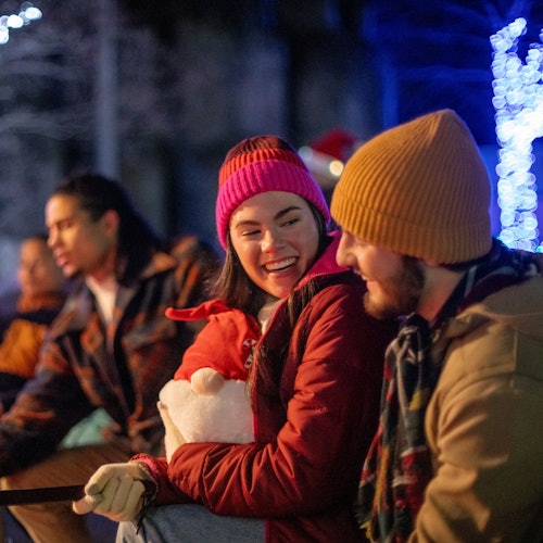 Dutch Winter Wonderland: Entry Ticket — gallery 4
