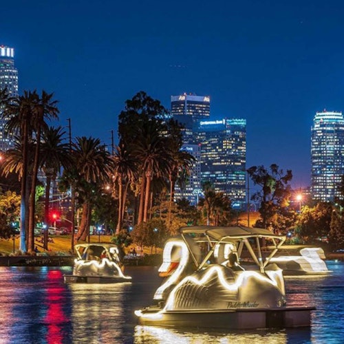Los Angeles Echo Park: Swan Boats Rental — gallery 2