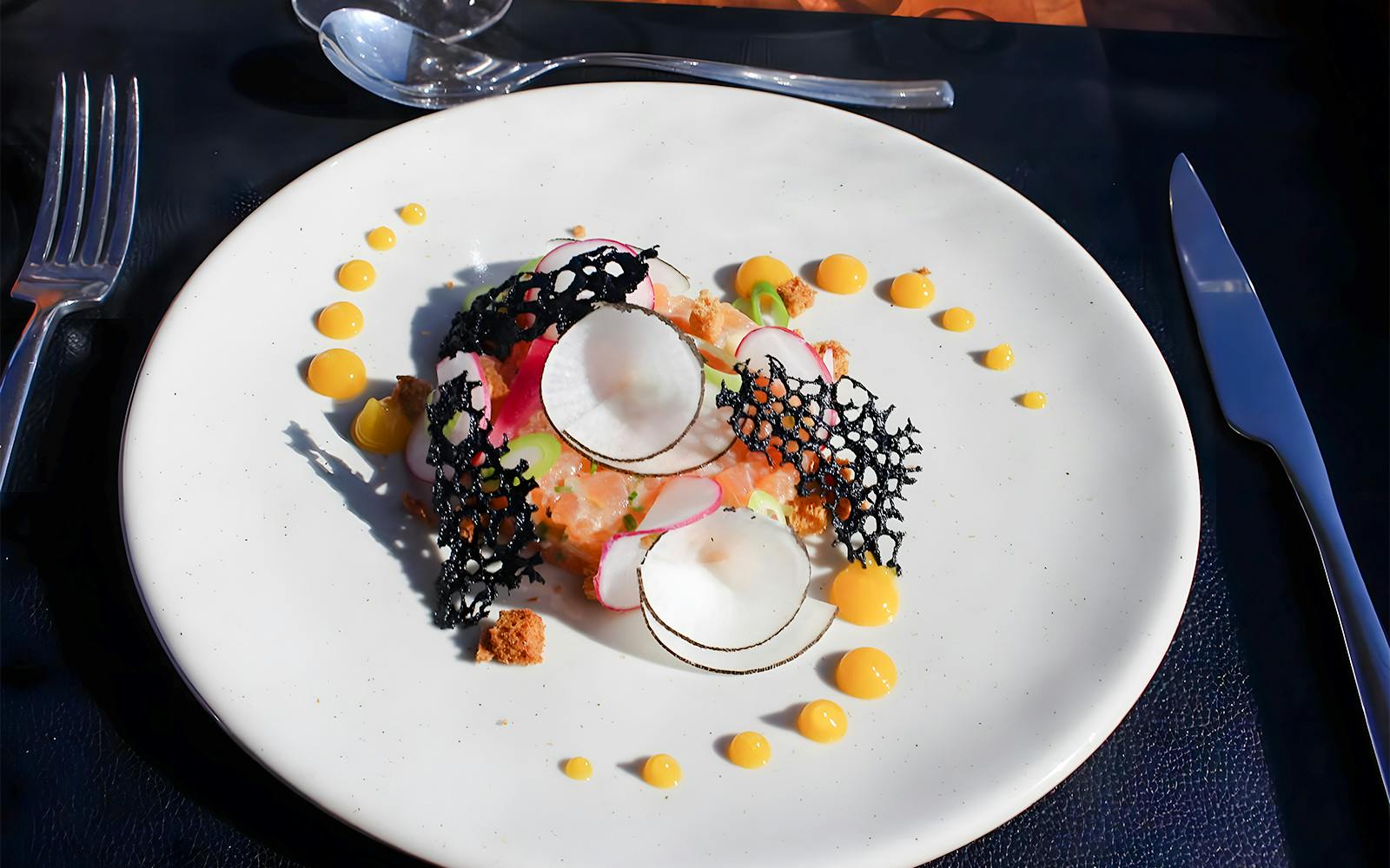 Elegant dish with radish slices and decorative black lace on a white plate, served in Bustronome Paris.