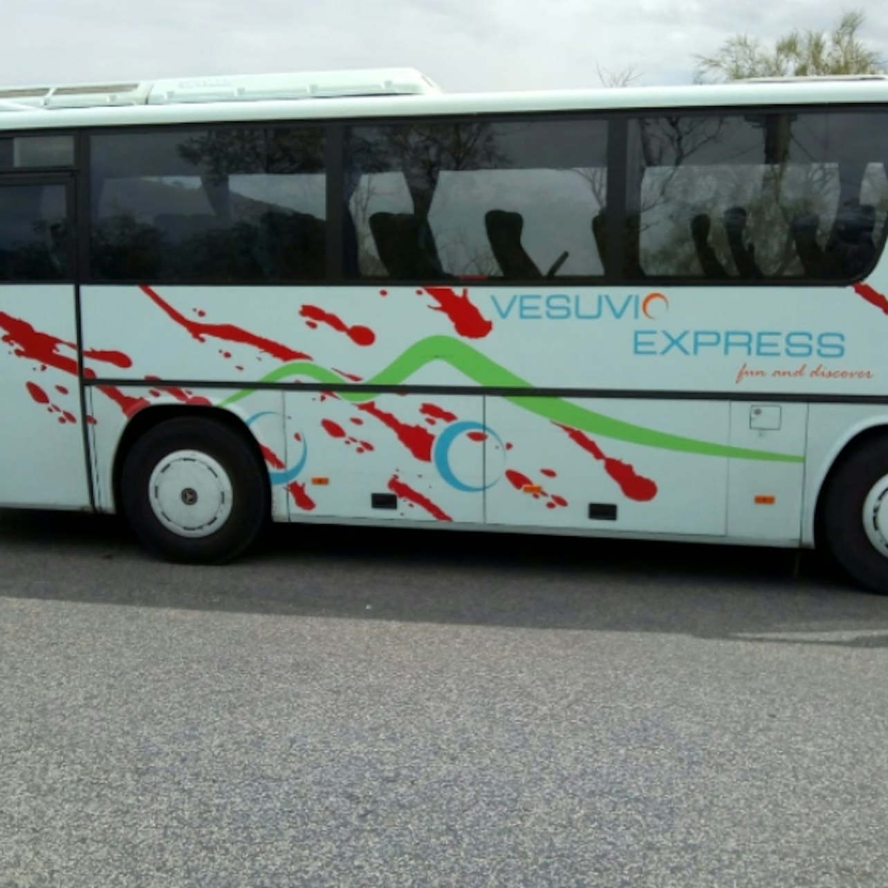 Mount Vesuvius: Transport Only from Ercolano by Vesuvio Express