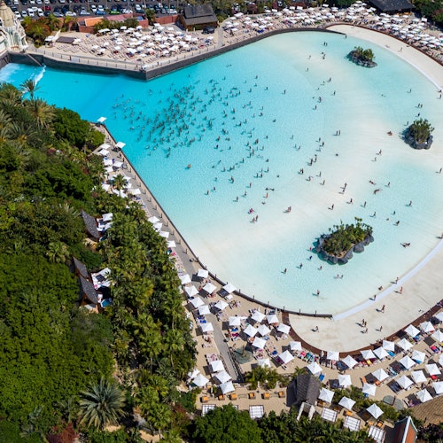 Loro Parque & Siam Park: Entry Ticket + Transfers — gallery 4