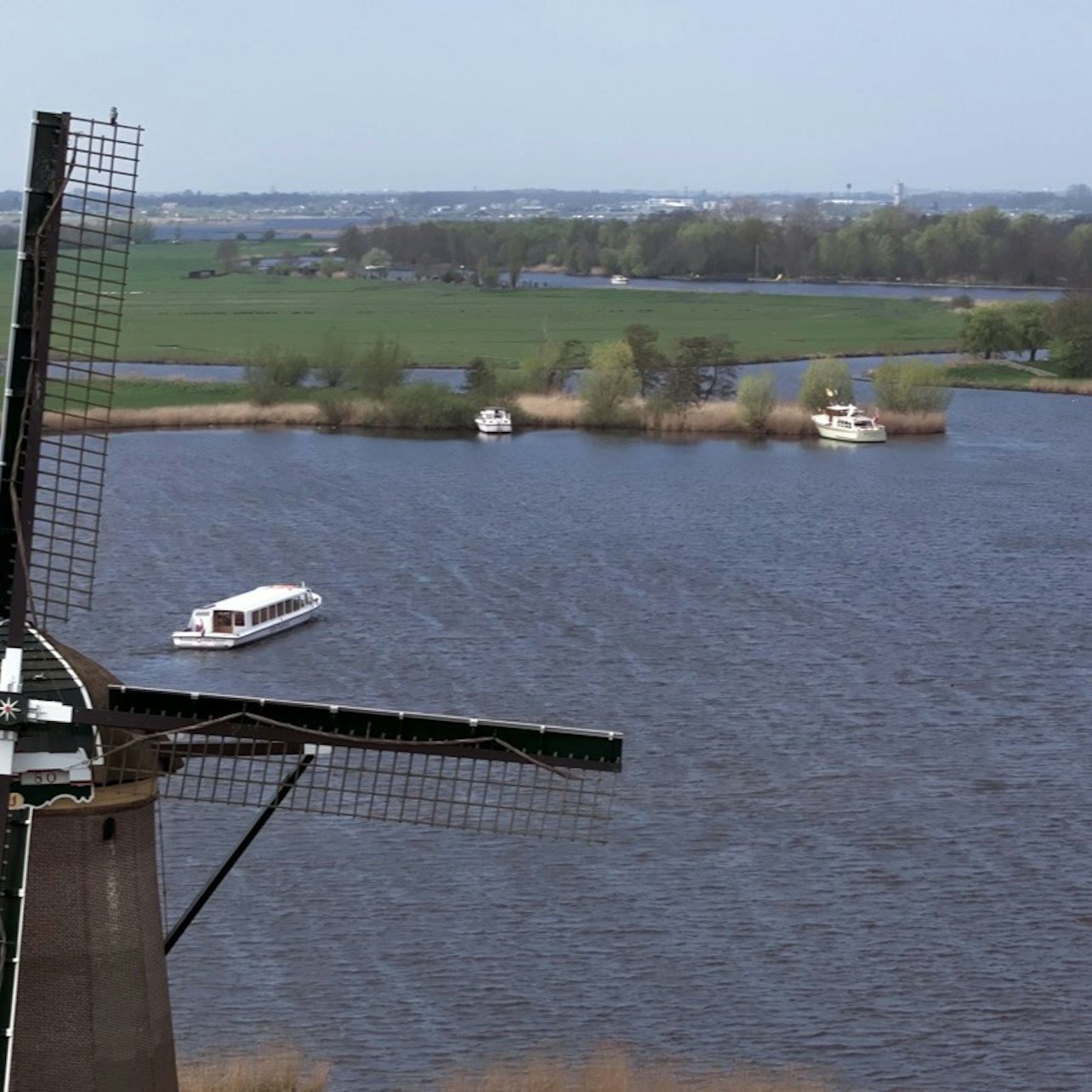 Summertime Flower Farm Tour & Windmill Cruise: Day Trip from Amsterdam — gallery 2