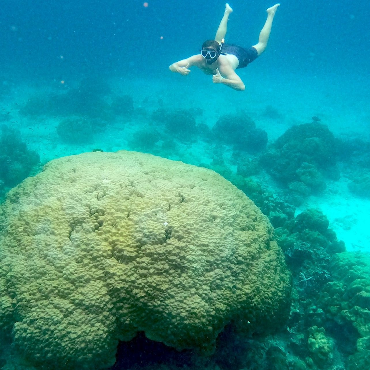 Phi Phi: Day Trip from Phuket + 4-Hour Private Longtail Tour