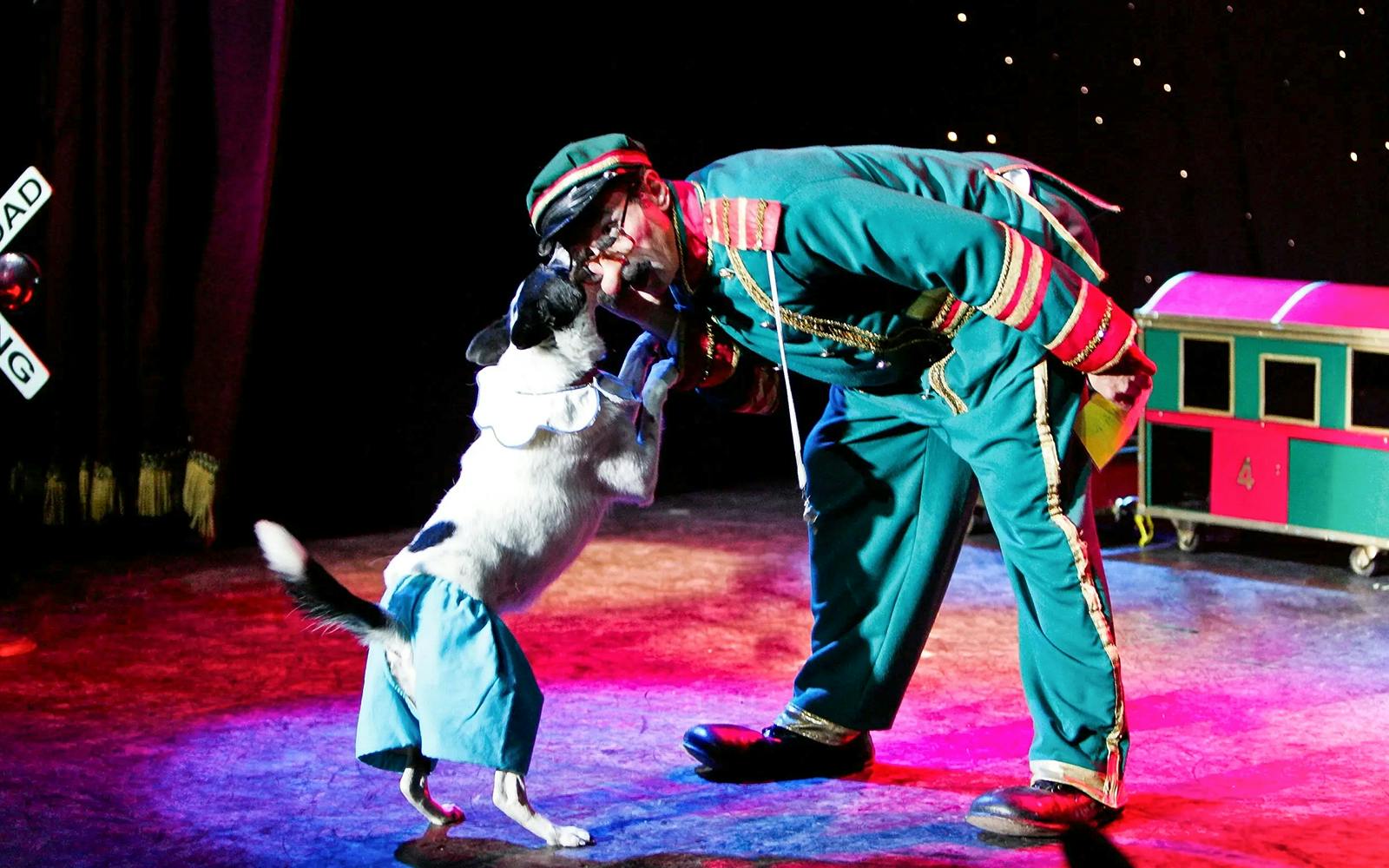 Popovich Comedy Pet Theater Tickets, Las Vegas — gallery view 4