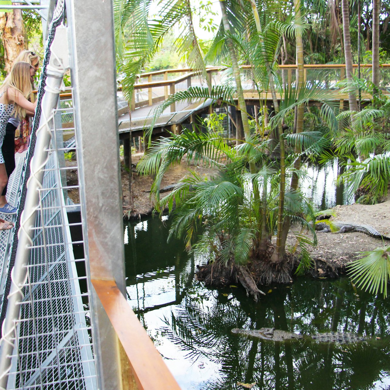 Port Douglas Wildlife Habitat