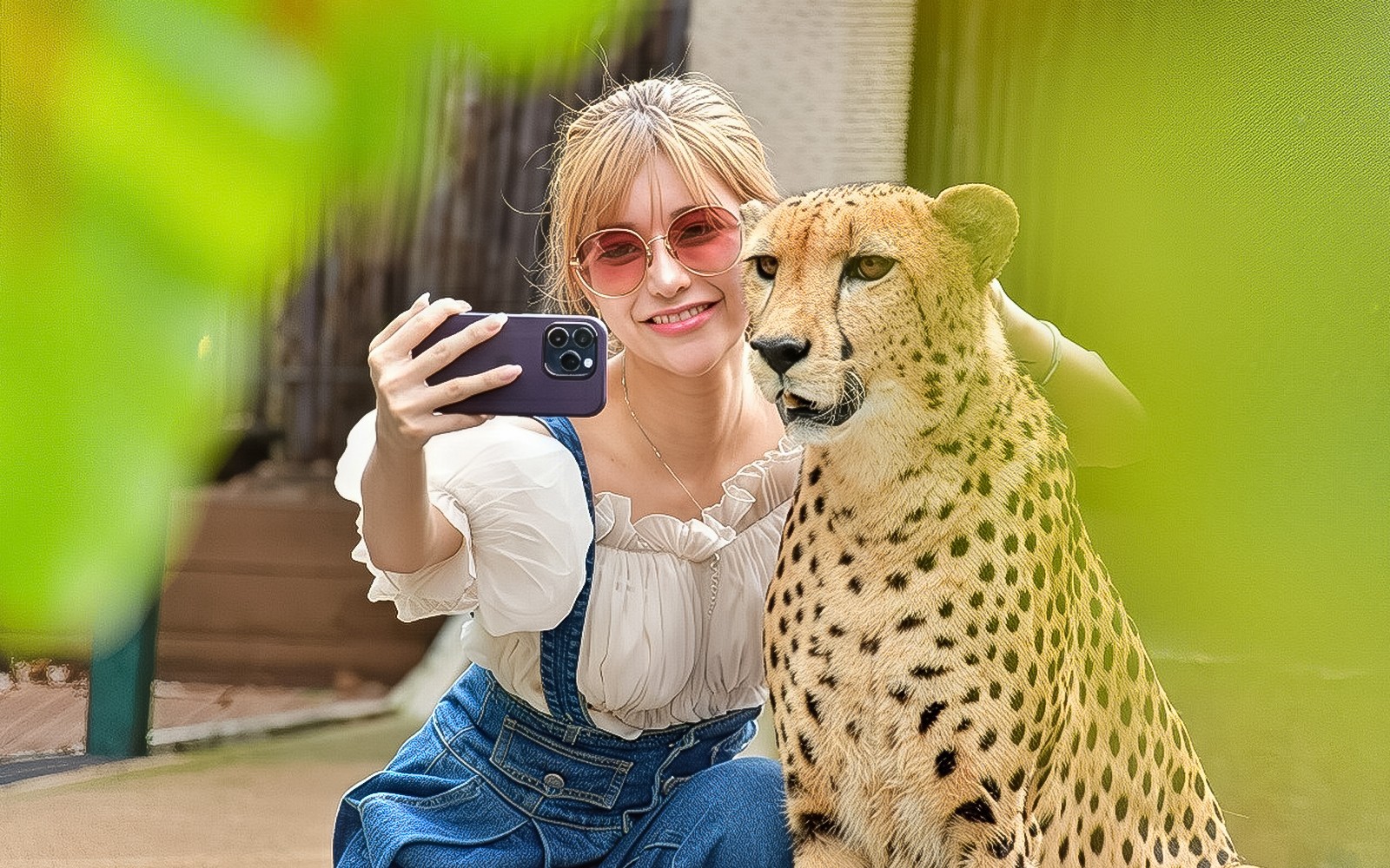 Tiger Kingdom Tickets with Tiger Play Packages — gallery 5