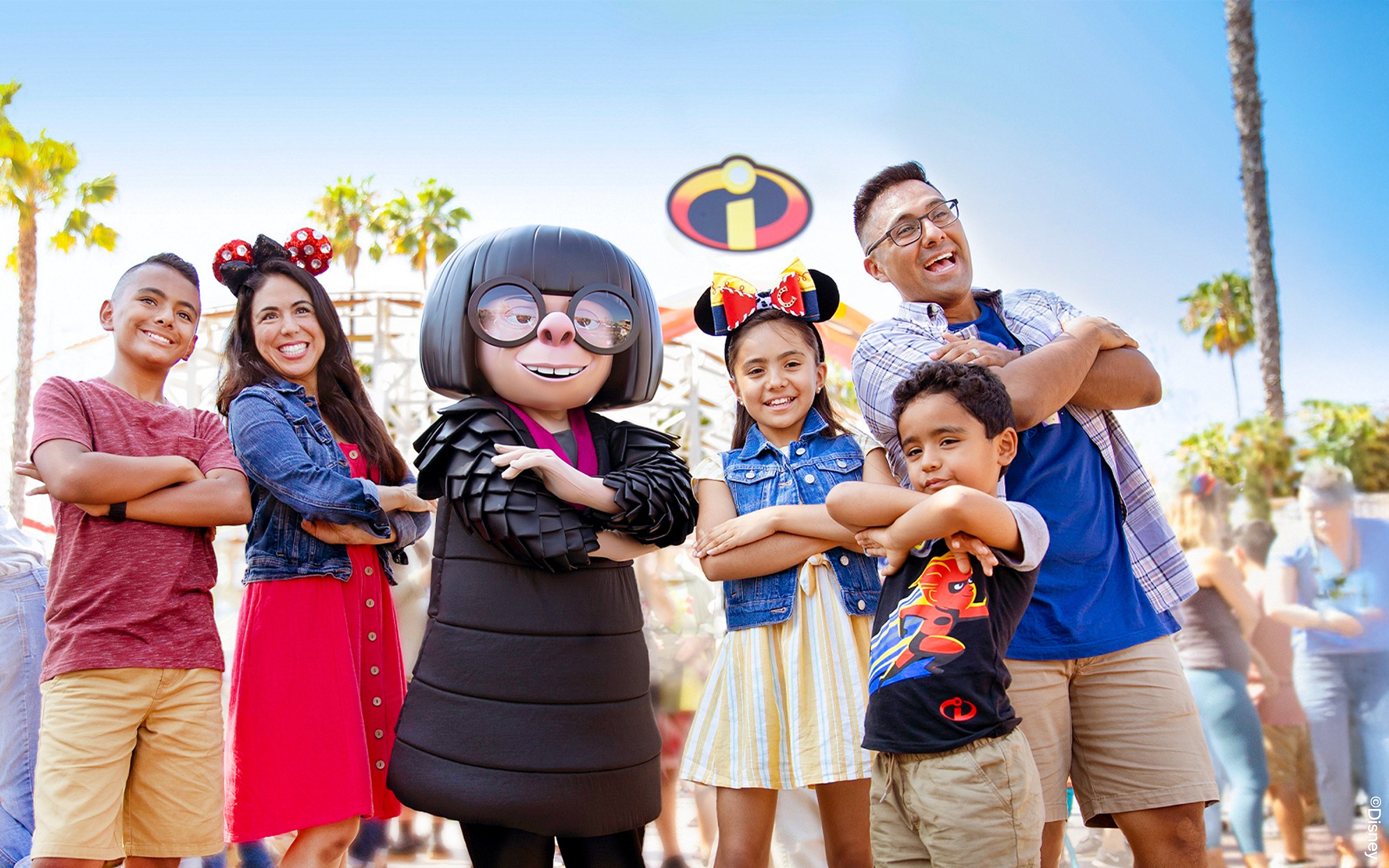 Disneyland California Lightning Pass (1-3 Days)