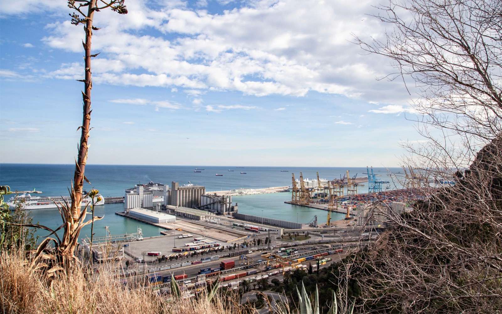 Guided Walking Tour of Montjuïc — gallery 3