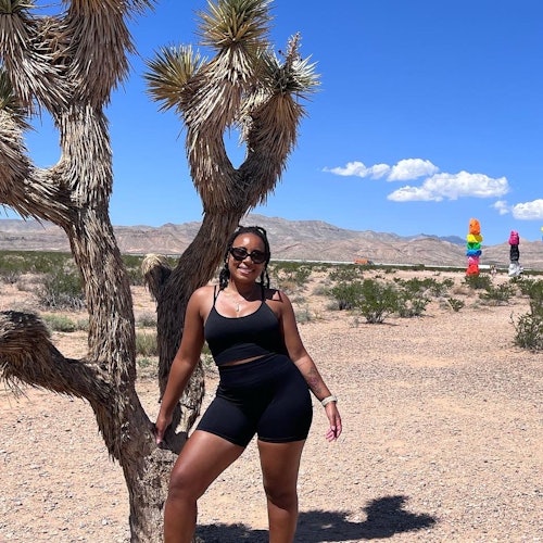 Valley of Fire and Seven Magic Mountains: Day Tour from Las Vegas — gallery 2