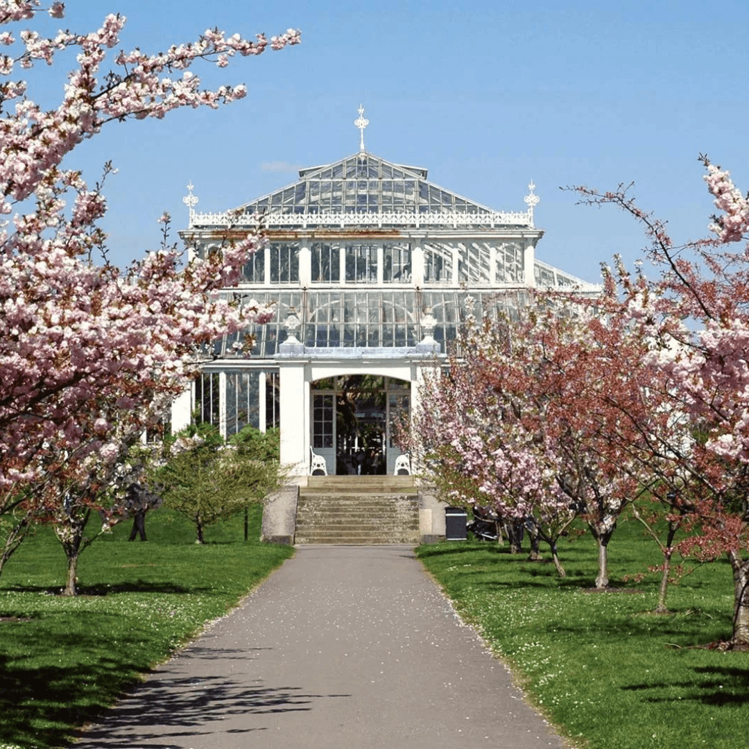 Kew Gardens: Entry Ticket — mobile