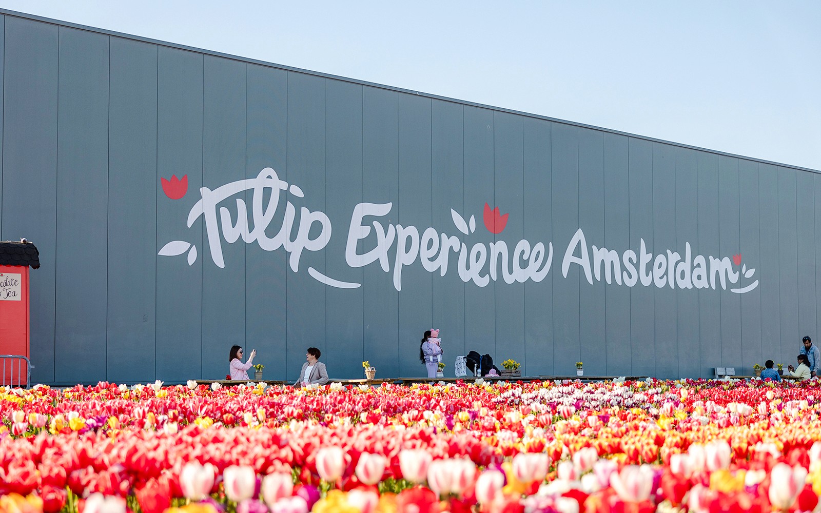 Tulip Experience Tickets with Tulip Fields Visit and Optional Transfers from Amsterdam