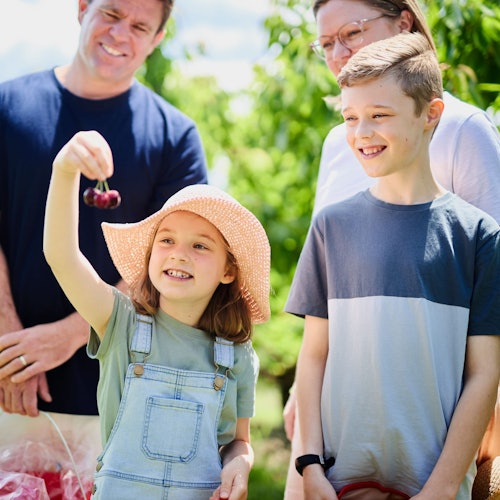Melbourne: Puffing Billy Steam Train Ride + Cherry Picking & Chocolate Tasting — gallery 2