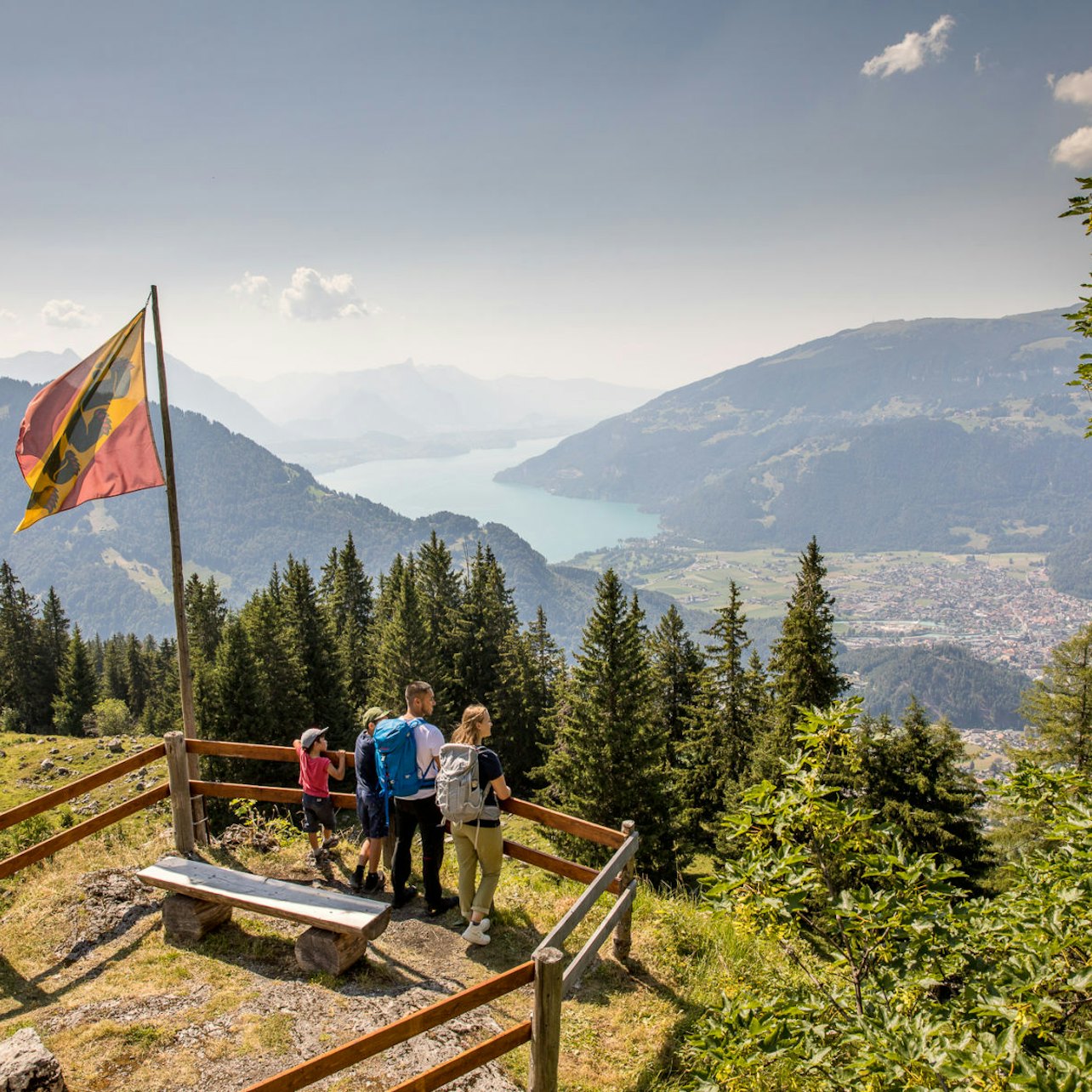 Schynige Platte: Roundtrip Rack Railroad From Wilderswil