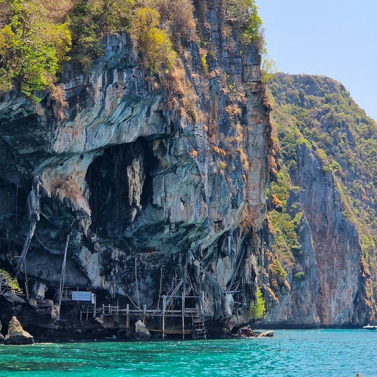 Phi Phi: Day Trip from Phuket + 4-Hour Private Longtail Tour