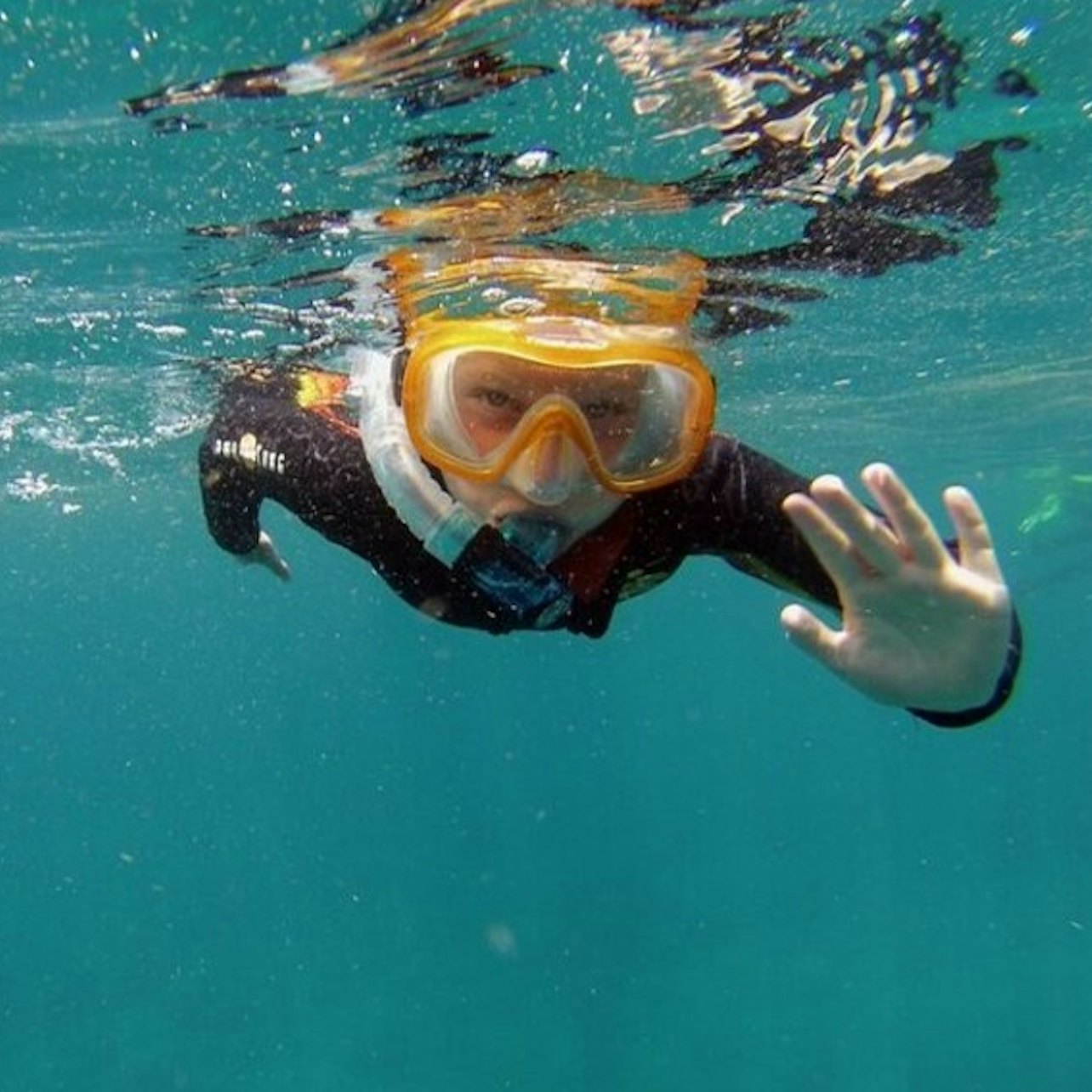 Tenerife: Guided Kayking & Snorkeling Tour