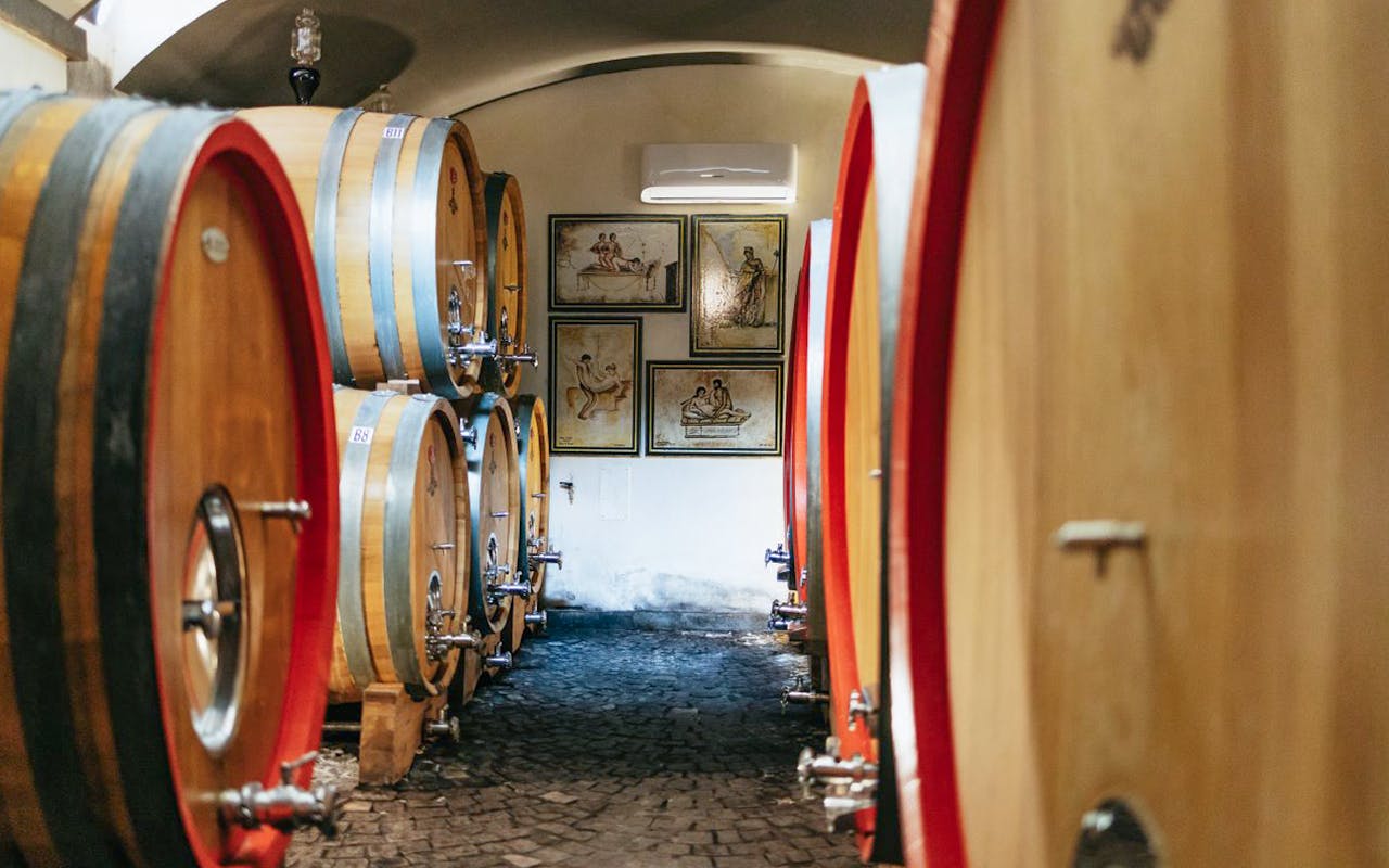 From Naples: Vesuvius Wine Tasting Experience With Mediterranean Lunch