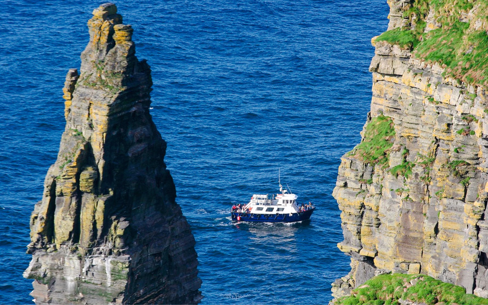 From Dublin: Birds of Prey, Aillwee Cave & Cliffs of Moher