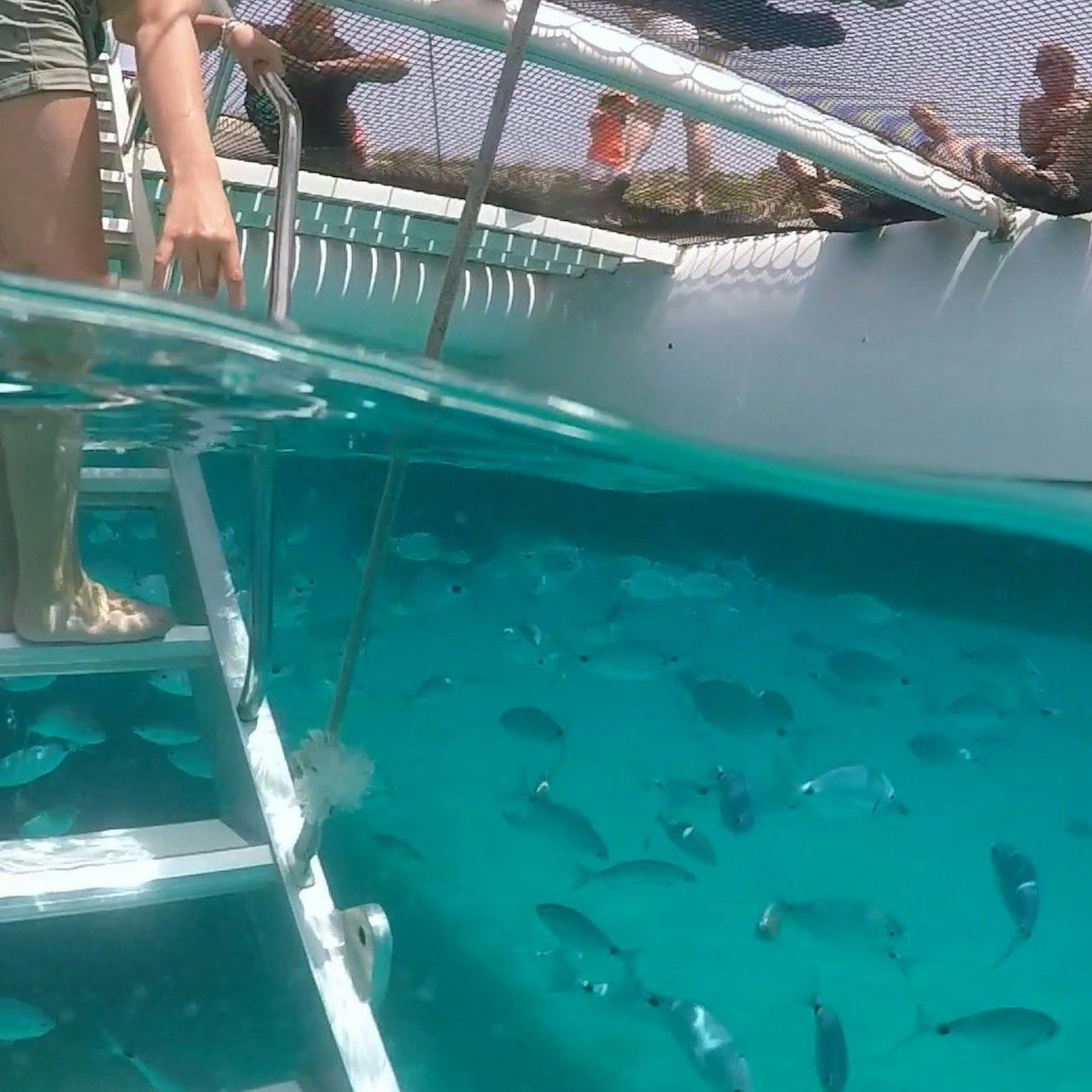 Cap Norfeu and Cadaques: Sailing Trip from Roses