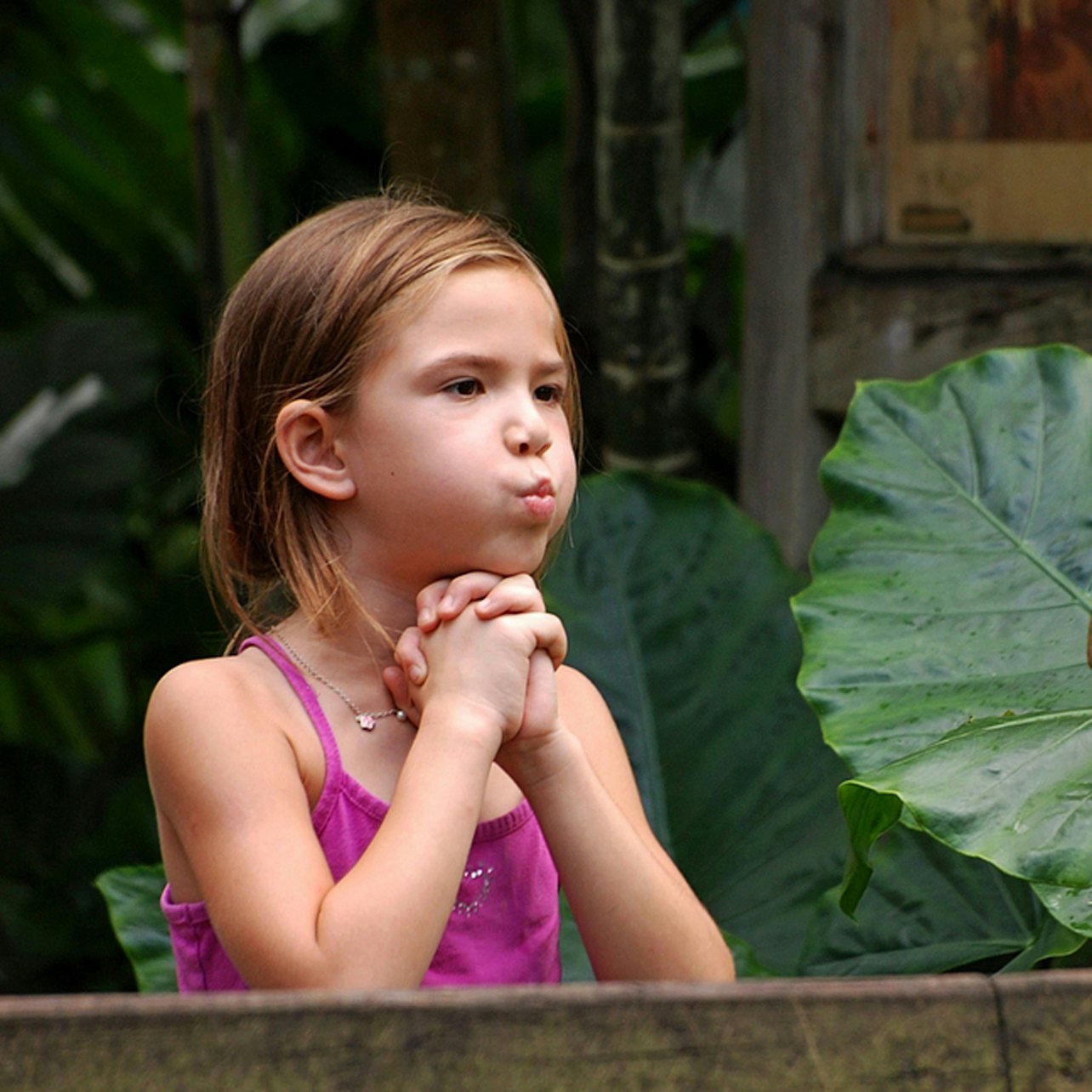 Flamingo Gardens: Skip The Line Ticket