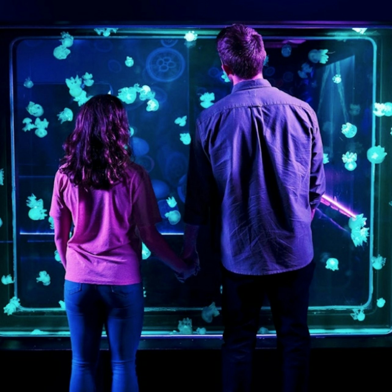 SEA LIFE Orlando: Entry Ticket