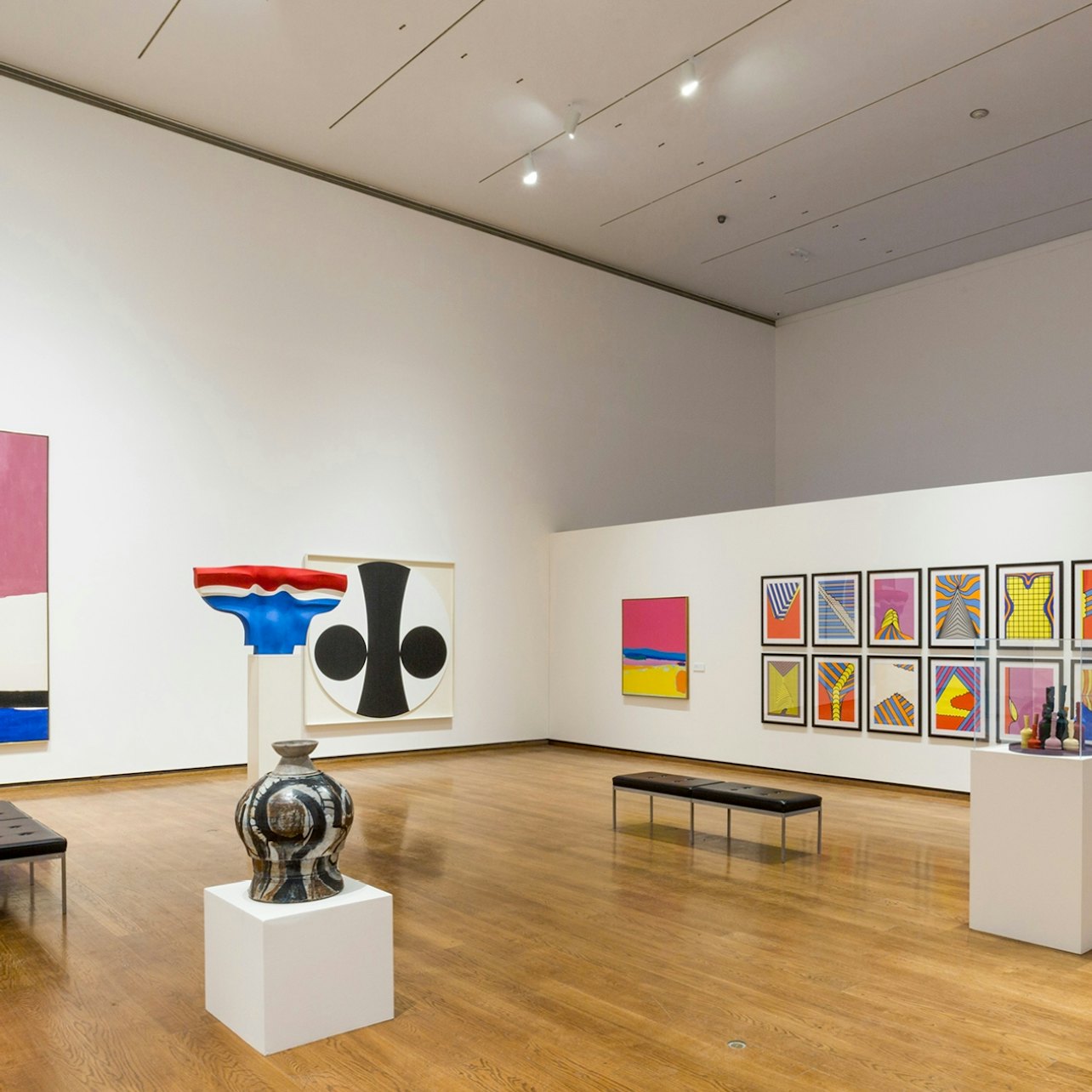 Everson Museum of Art: Entry Ticket