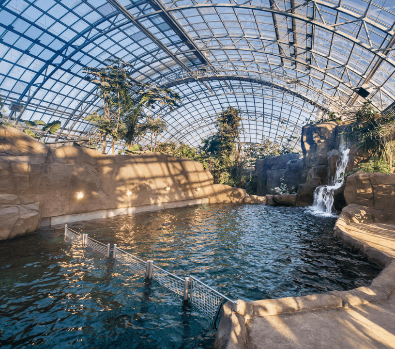 Paris Zoological Park: Entry Ticket