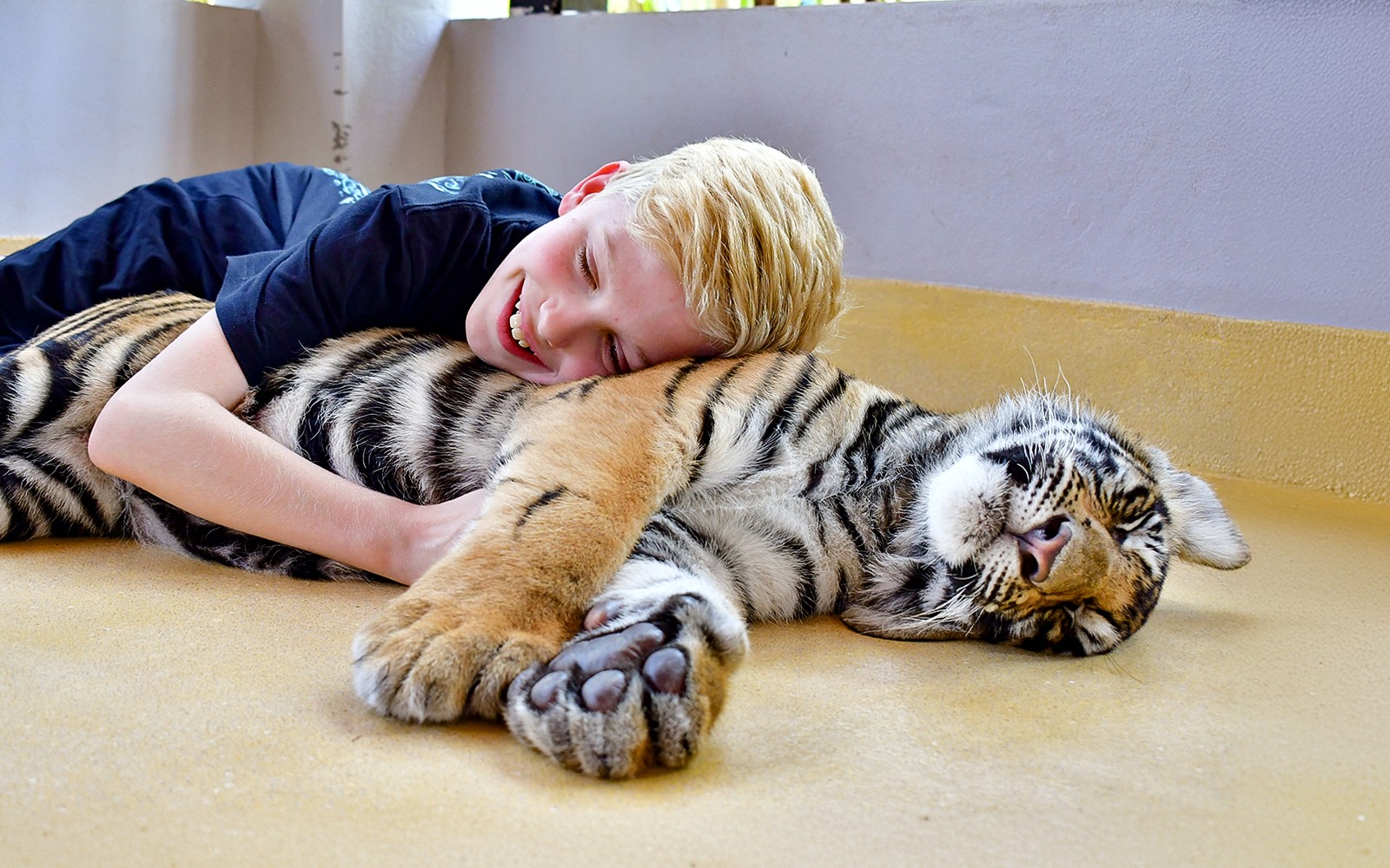 Tiger Park Tickets with Tiger Play Packages: Non-Thai Residents
