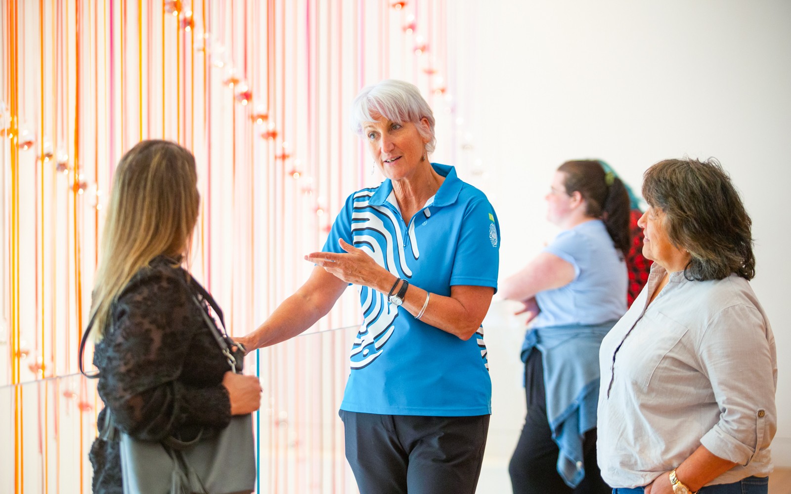 Museum of New Zealand Te Papa Tongarewa Tickets