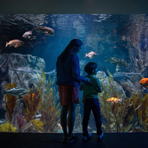 Los Angeles: All-Inclusive Pass for 2–7 Days — gallery 2
