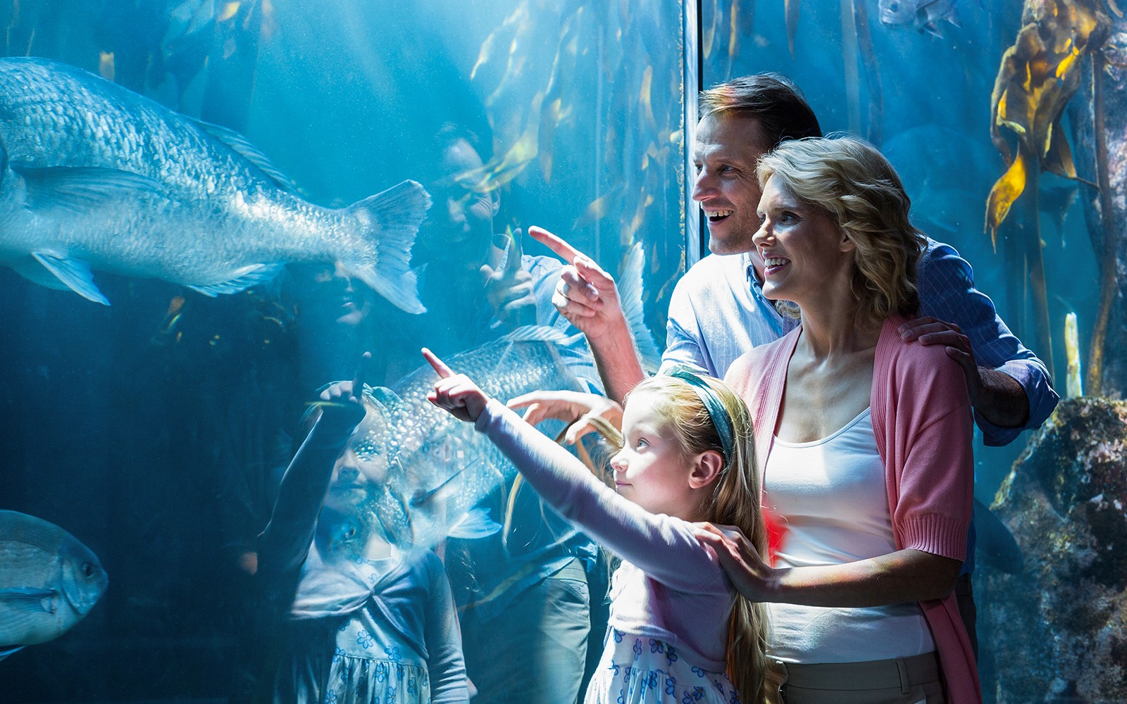 Go City Chicago All-Inclusive Pass: Choose from 39 Attractions
