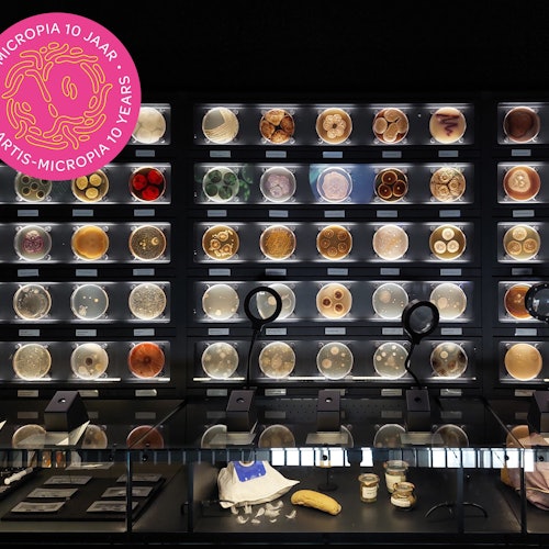 ARTIS Micropia: Entry Ticket — gallery 4