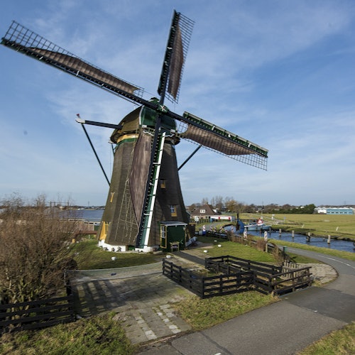 Keukenhof: Guided Tour + Tulip Farm Visit + Windmill Cruise — gallery 3