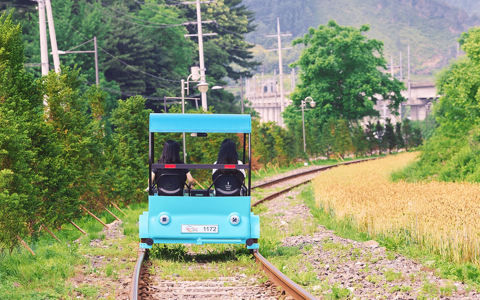 Nami Island Nature Exploration Day Tour with Garden of Morning Calm 