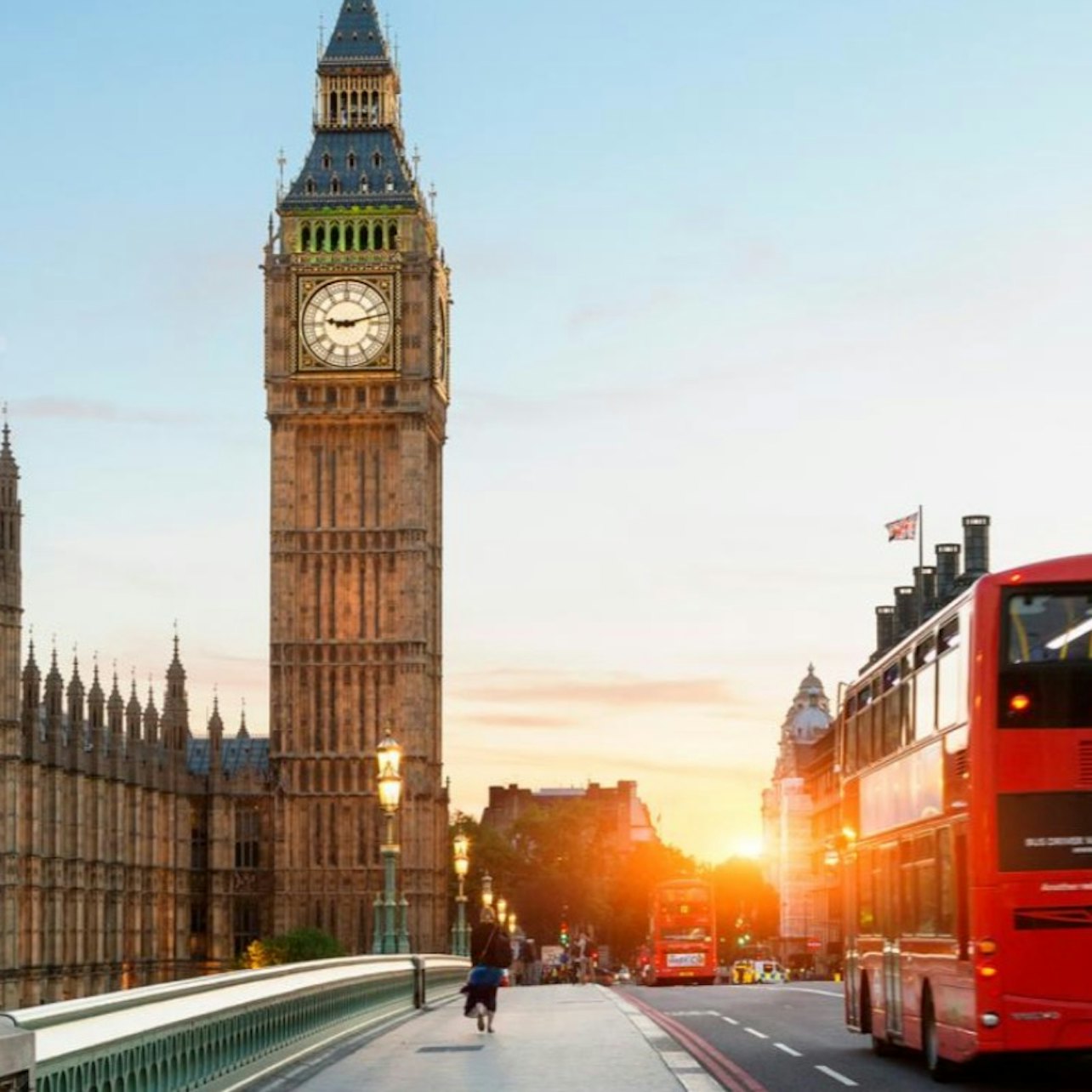 London: Westminster Highlights Walking Tour + Buckingham Palace Entry — gallery 4