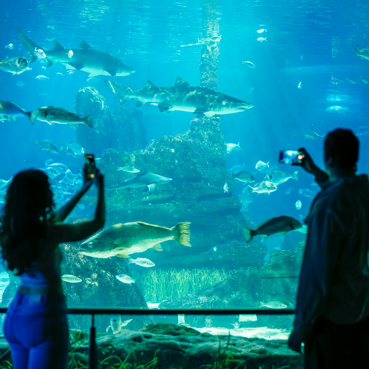 巴塞隆納動物園 + 水族館通行證 — gallery 4