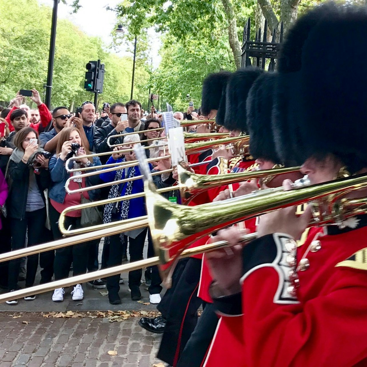 London: Guided Walking Tour + Changing of the Guard + Kensington Palace Entry — gallery 1