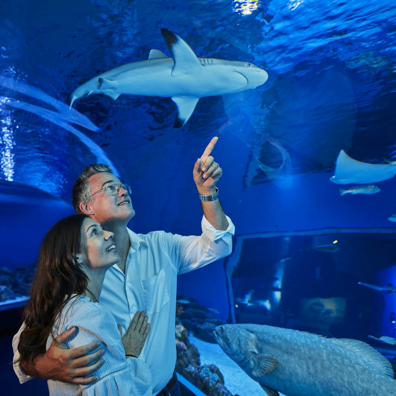 Cairns Aquarium: Night Entry + 2-Course Dinner — gallery 2