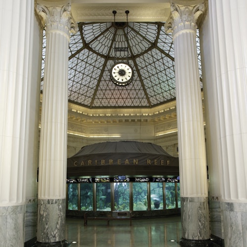 Chicago CityPASS® — gallery 2
