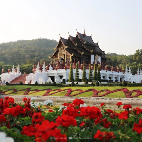 Chiang Mai Day Pass: 64+ Benefits with Maeping River Cruise — gallery 5