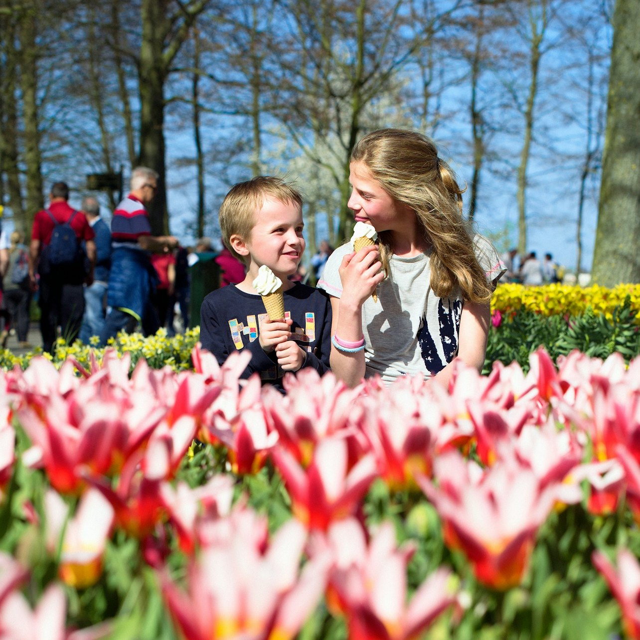 Keukenhof: Entry + Bus from A'dam Tower — gallery 3