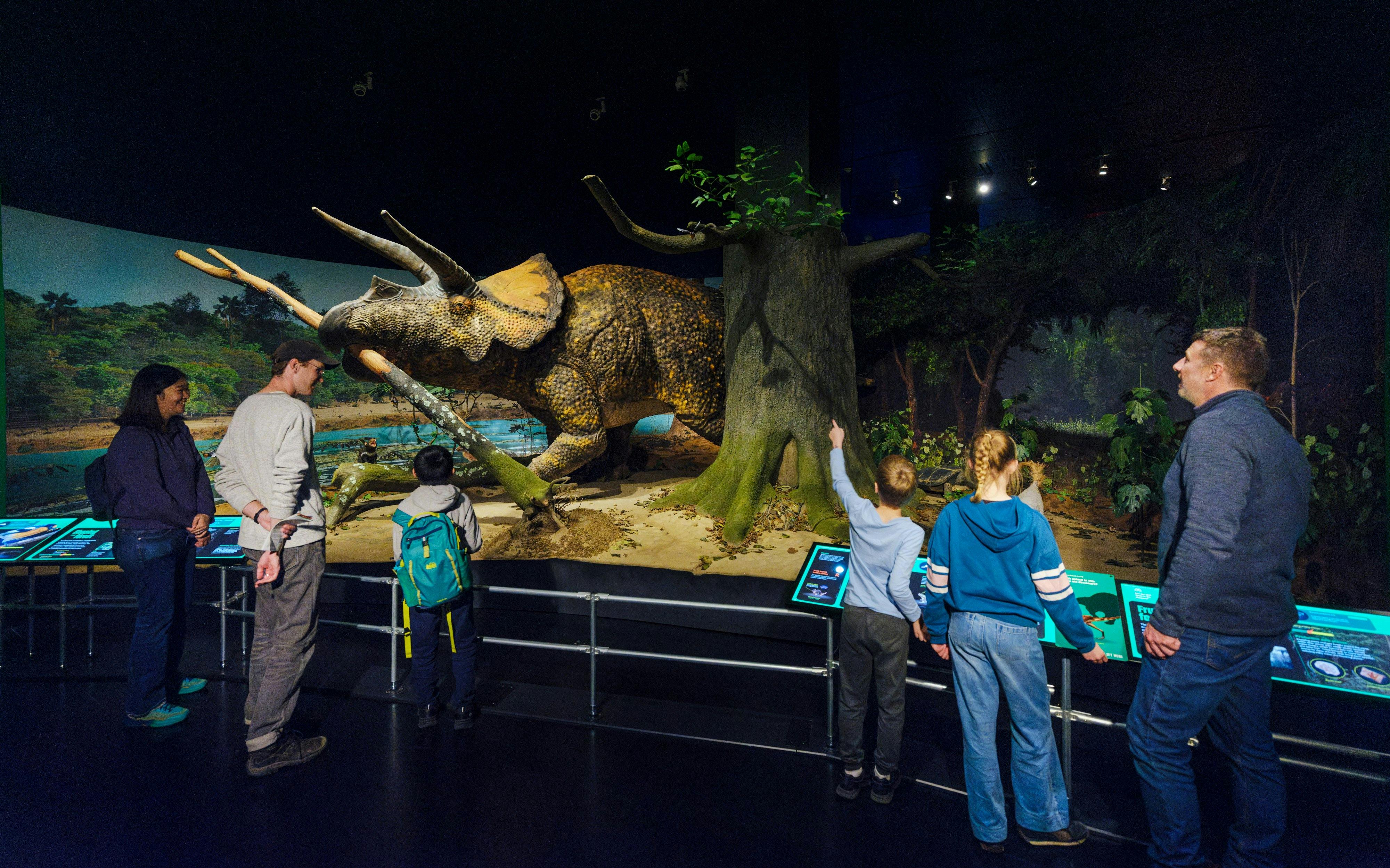 American Museum of Natural History Tickets + All Ticketed Exhibitions tickets at American Museum of Natural History