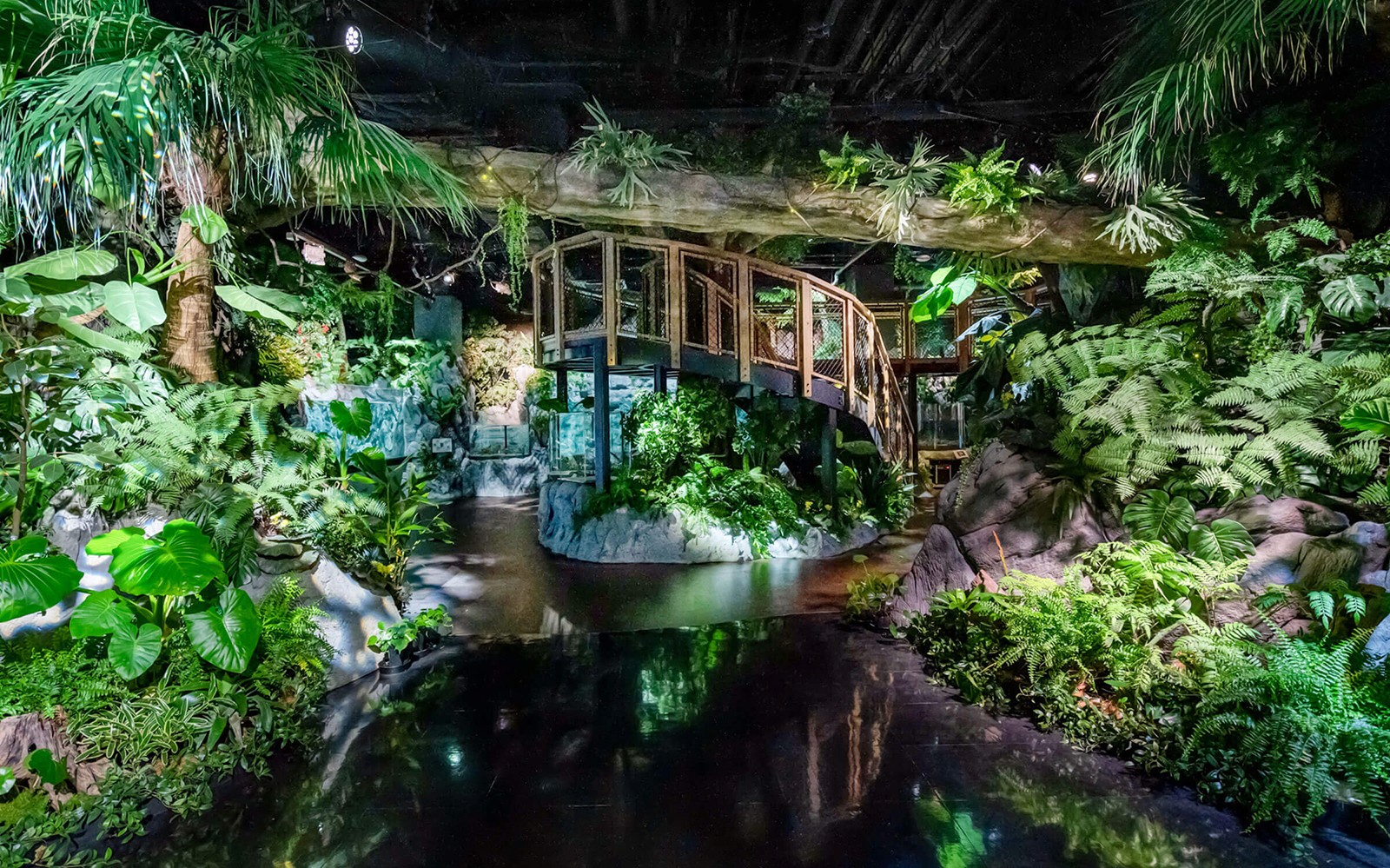 DMM Kariyushi Aquarium Admission Ticket