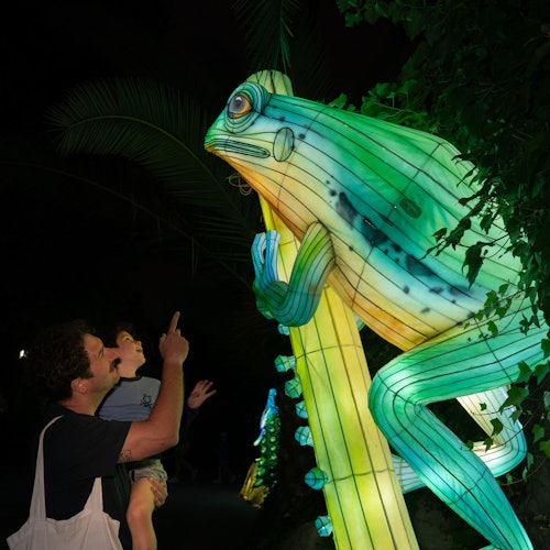 Faunia Nature Park: Brilla Faunia — gallery 1