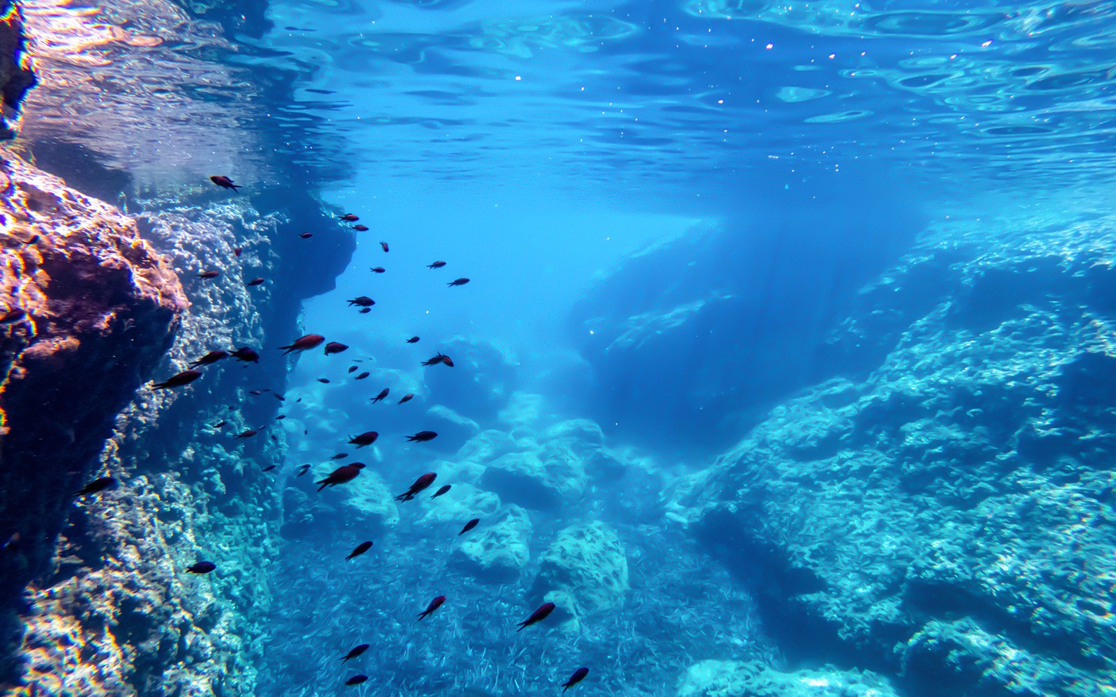 Dubrovnik: Private Boat Tour to Blue Cave & Elaphiti Islands with Unlimited Drinks — gallery 5