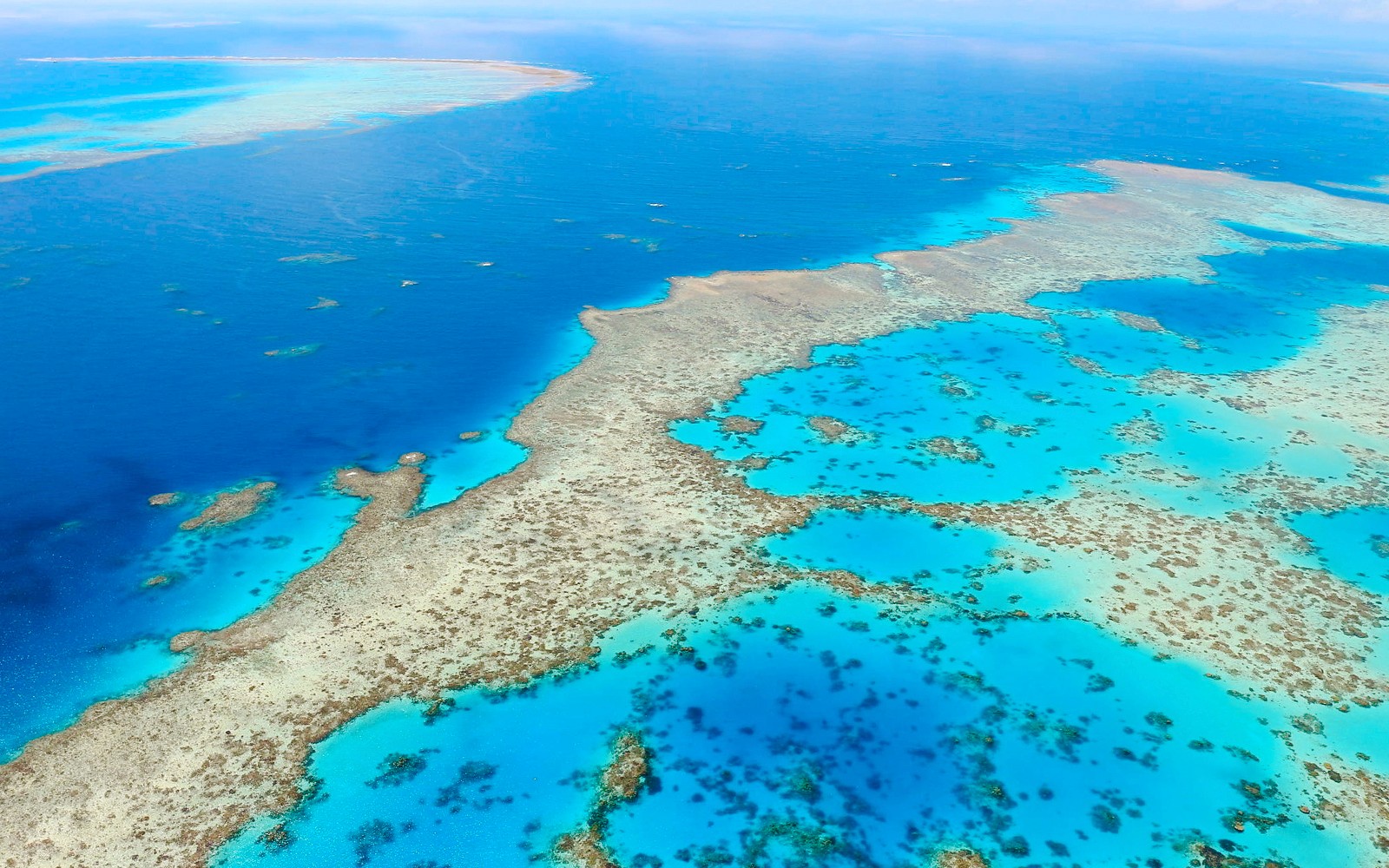 From Airlie Beach: Whitsunday Islands & Heart Reef 60-Minute Scenic Flight
