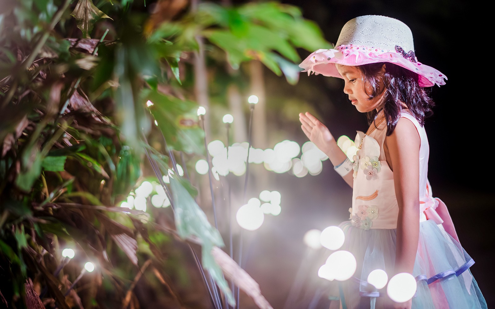 Dream Forest Langkawi Tickets