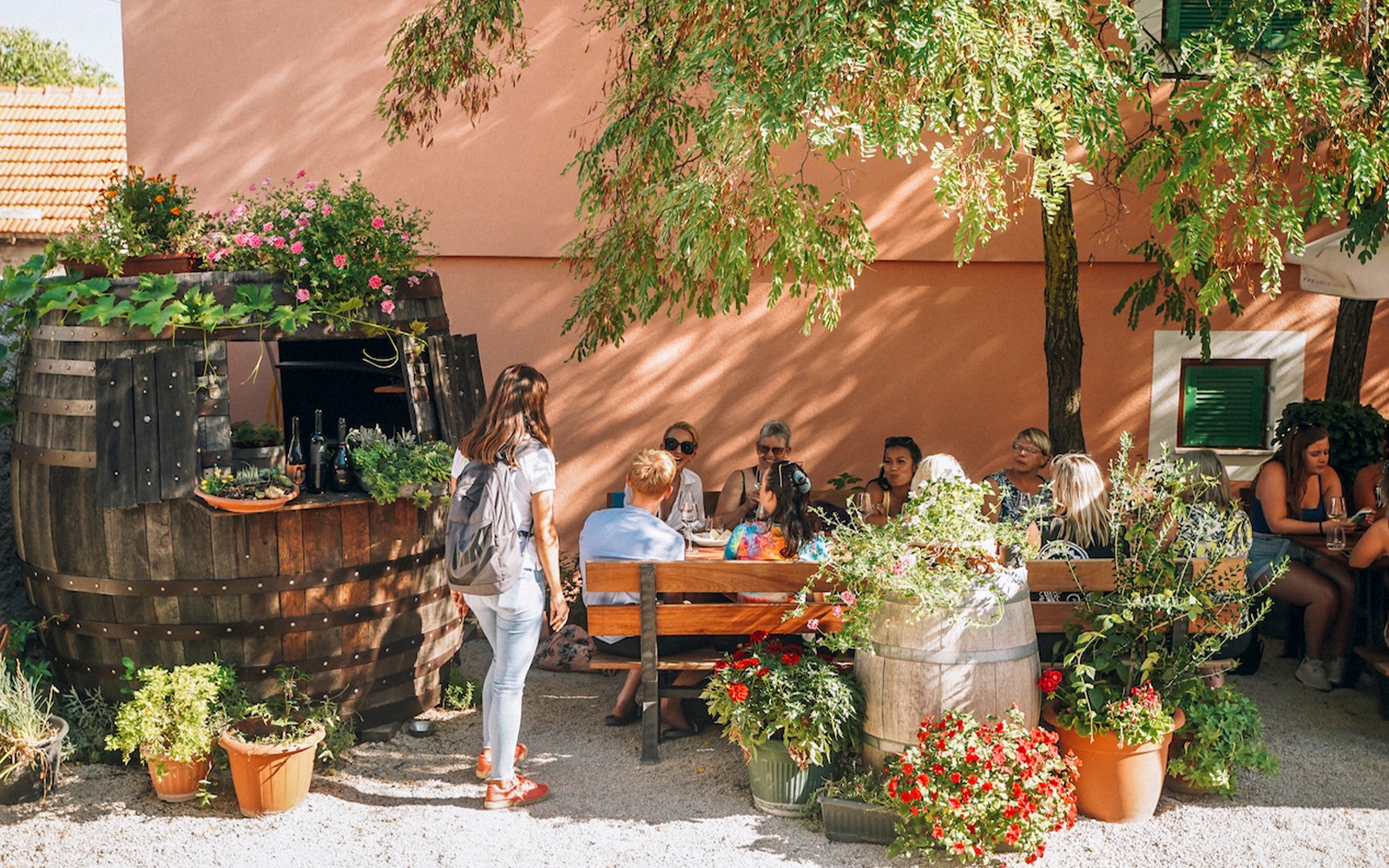 Krka National Park Full-Day Trip with Wine & Olive Oil Tasting