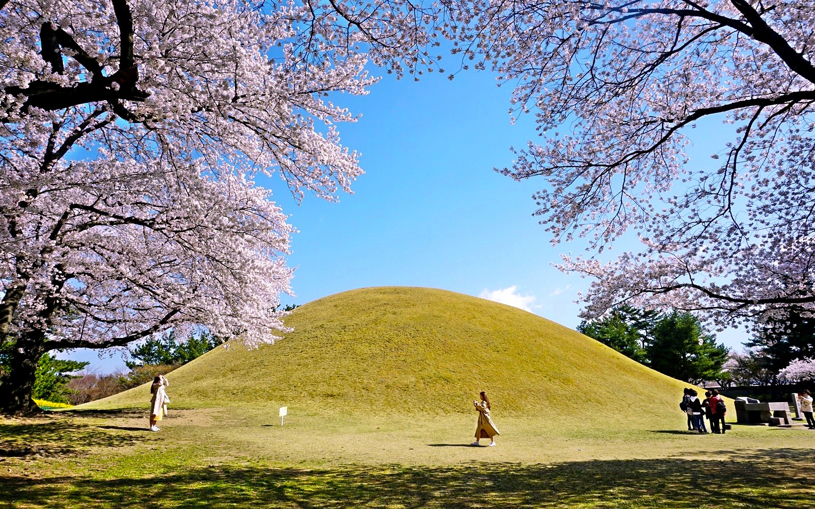 From Busan: Gyeongju UNESCO World Heritage Site Full-Day Guided Tour