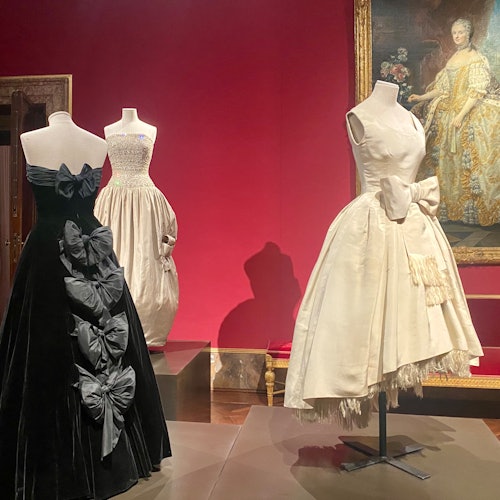 Palazzo Pitti & Palatine Gallery: Reserved Entrance + Audio Guide — gallery 4
