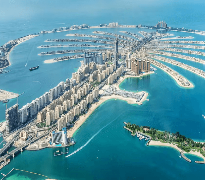 The View at the Palm — gallery 4